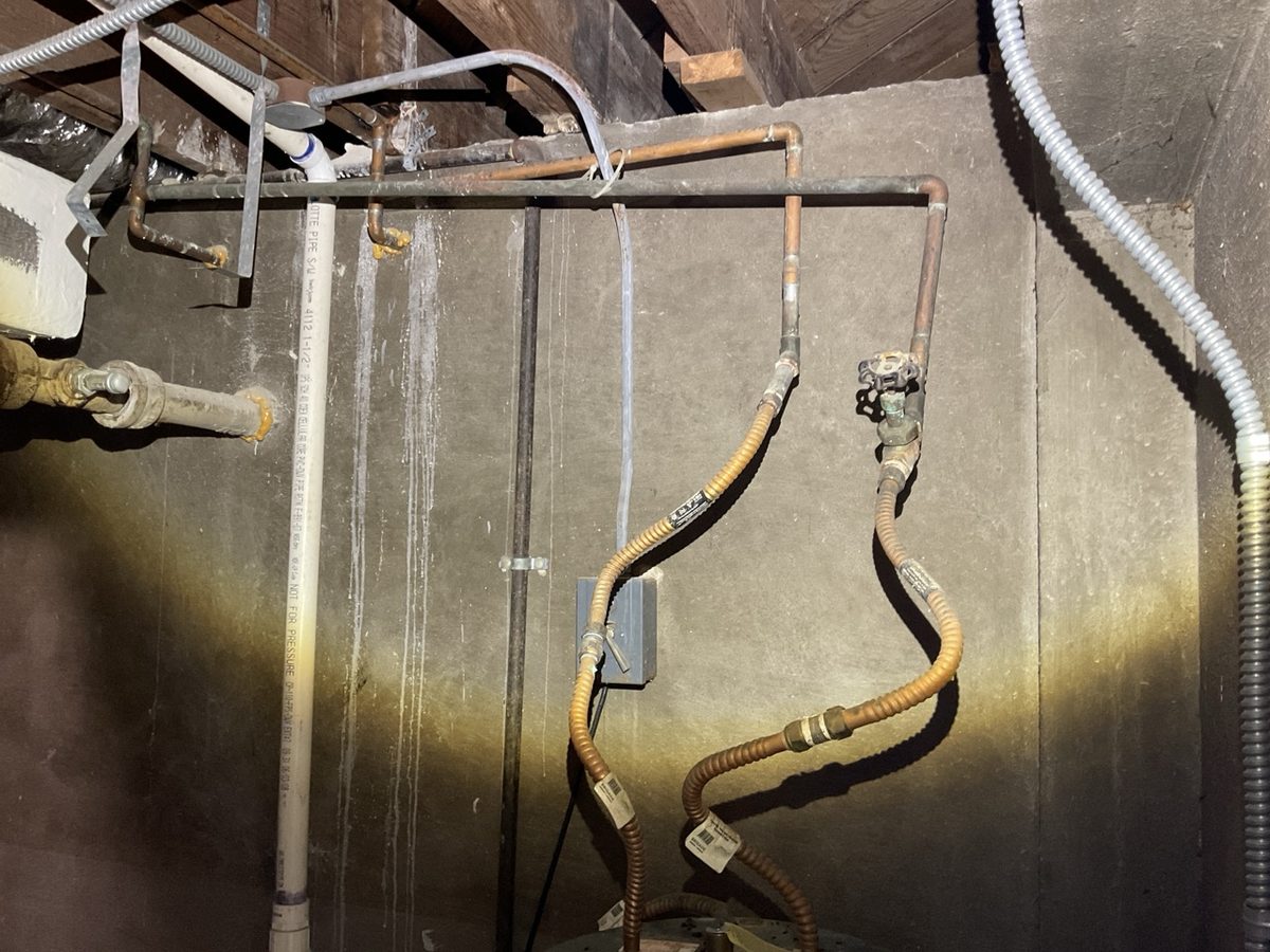 Plumbing supply line inspection